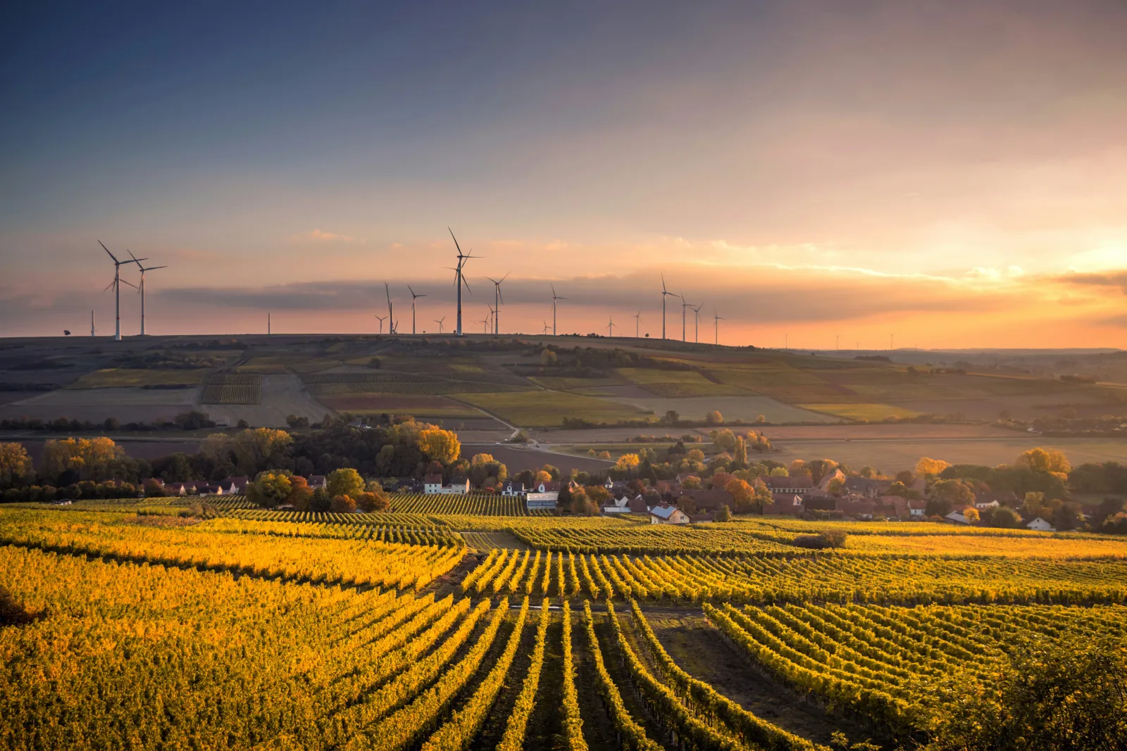Farm fields with wind turbines on the horizon. Photo by Karstan Wurth via Unsplash.