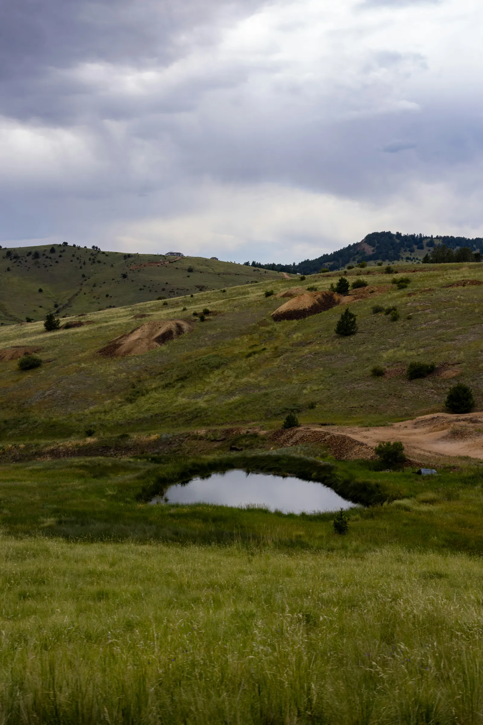 Grasslands on rolling hills. Photo by Luis Olmos via Unsplash.