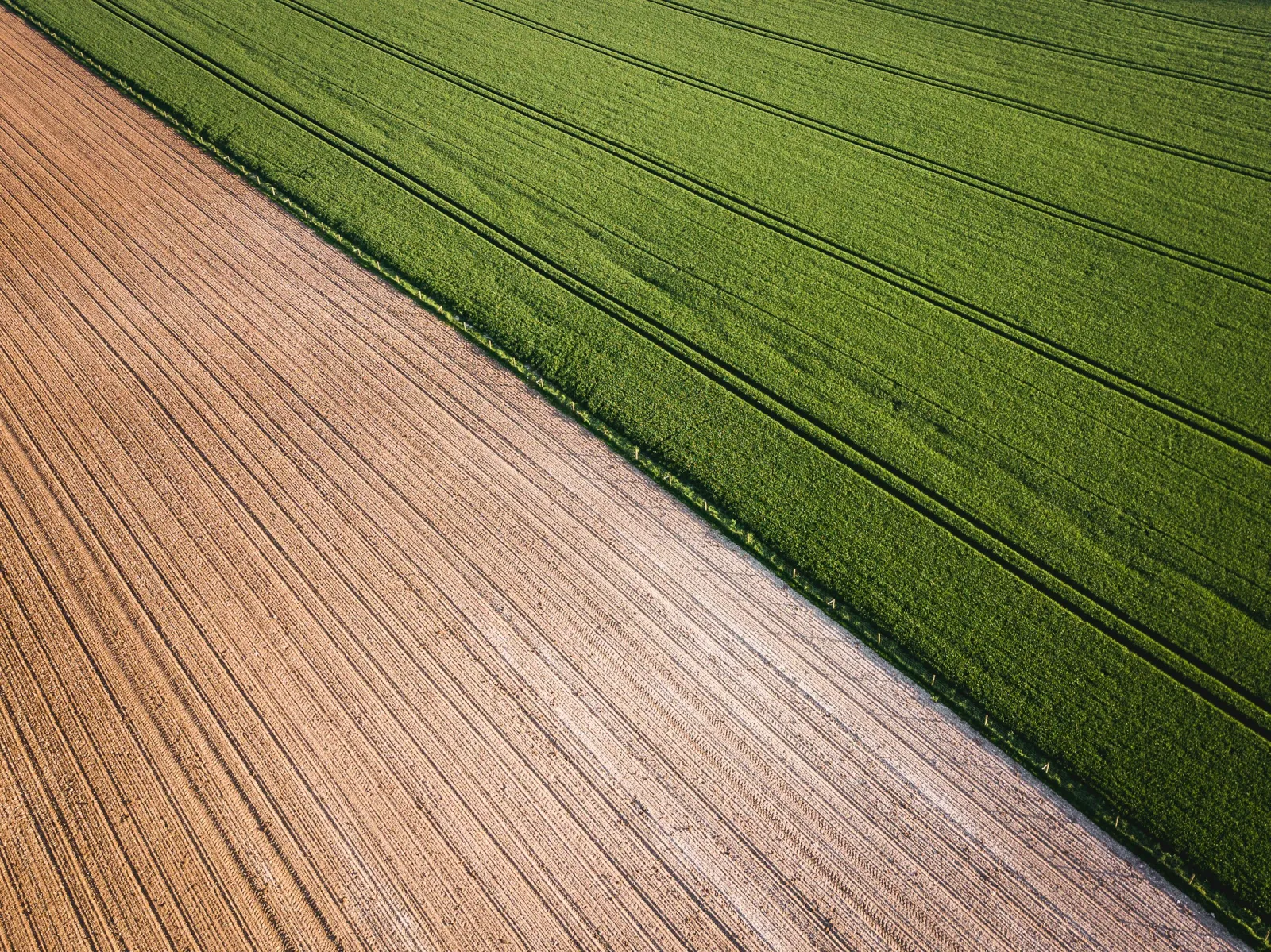 Arial shot of two fields, one green and one brown, side by side. Photo by Ivan Bandura via Unsplash.
