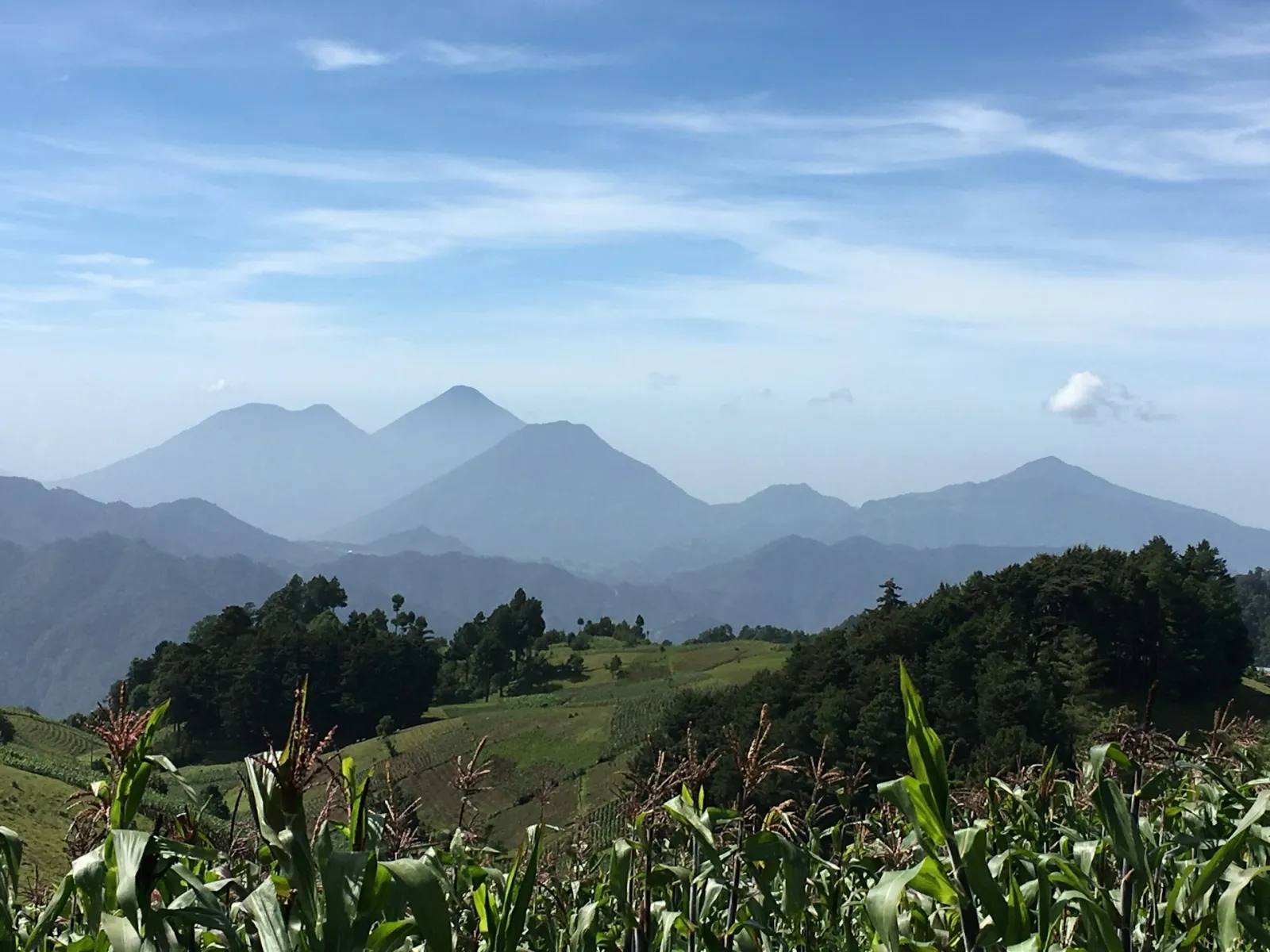 An agricultural landscape in Quezaltenango, Guatemala with corn in the foreground and mountains in the background. Photo by Kellie Shepherd Moeller via Unsplash.