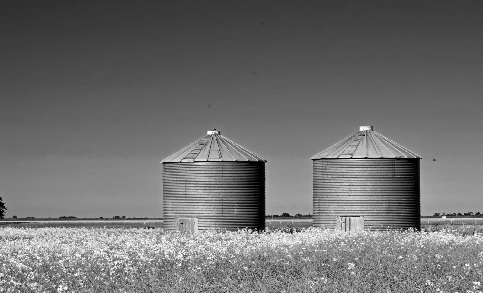 Two grain silos in black and white. Credit: Deneen L Treble via Pexels