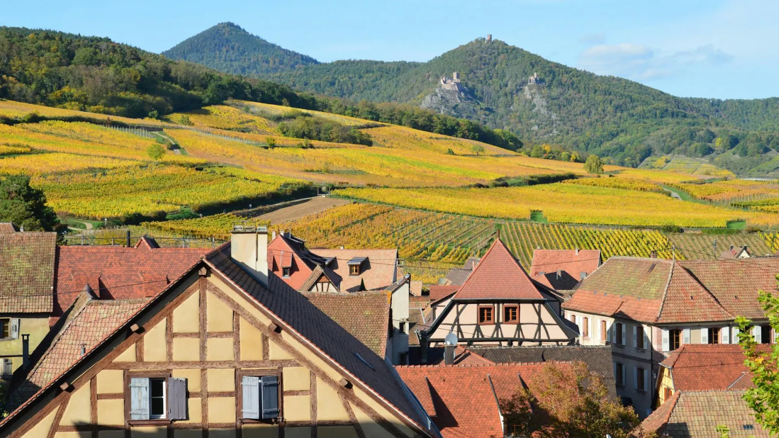 European houses with fields and hills in backdrop. Credit: SlimMars 13 via Pexels. 