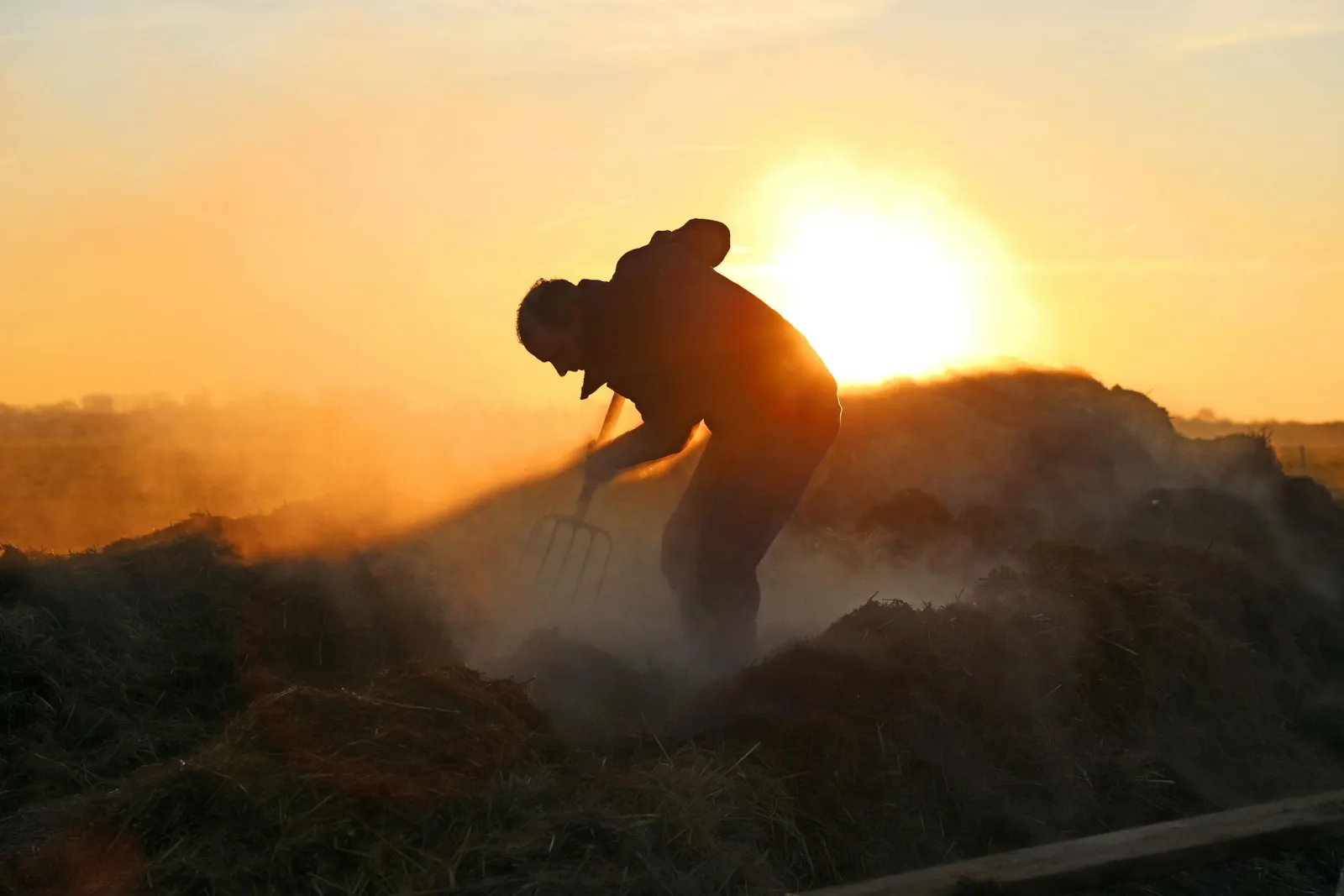 A farmer moving hay at sunrise. Credit: Andy Bellm via Pexels