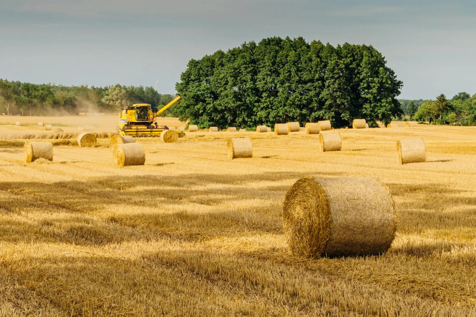 Combine harvester in field. Credit karol-wisniewski via Pexels