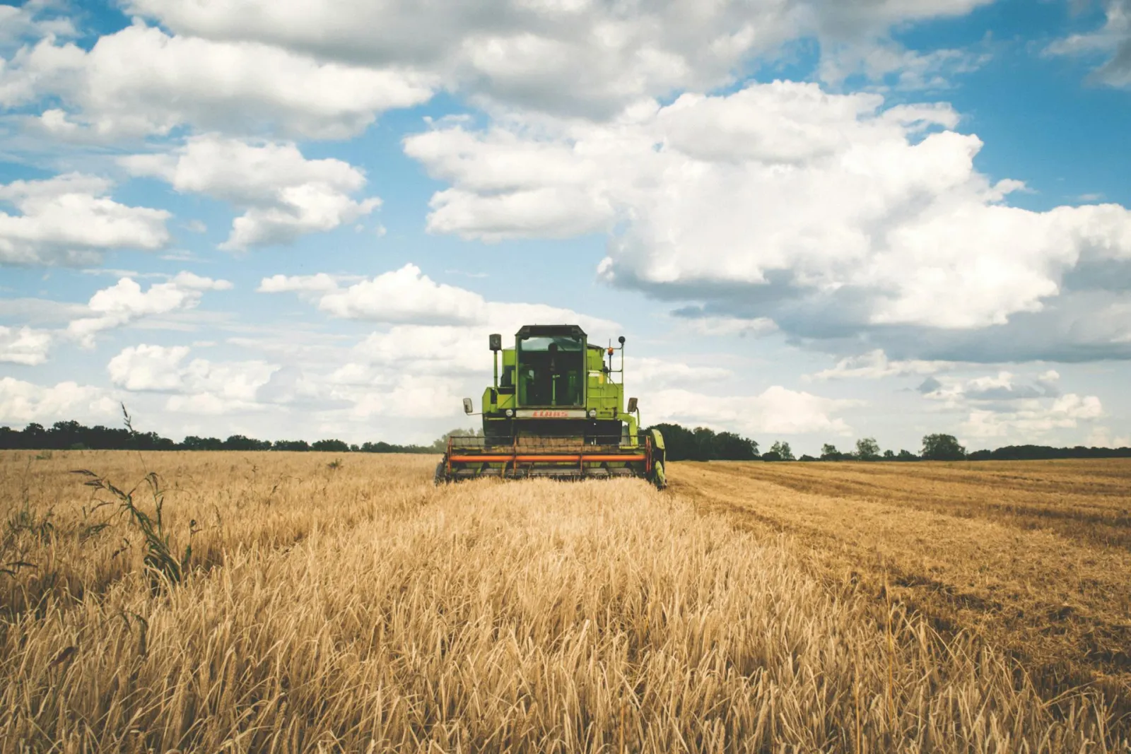 Combine coming through field. Credit: freestocks.org via Pexels