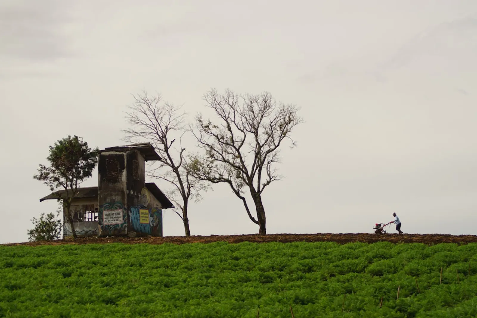 House on hill. Credit: Jauhar Musthofal Qulub via Pexels