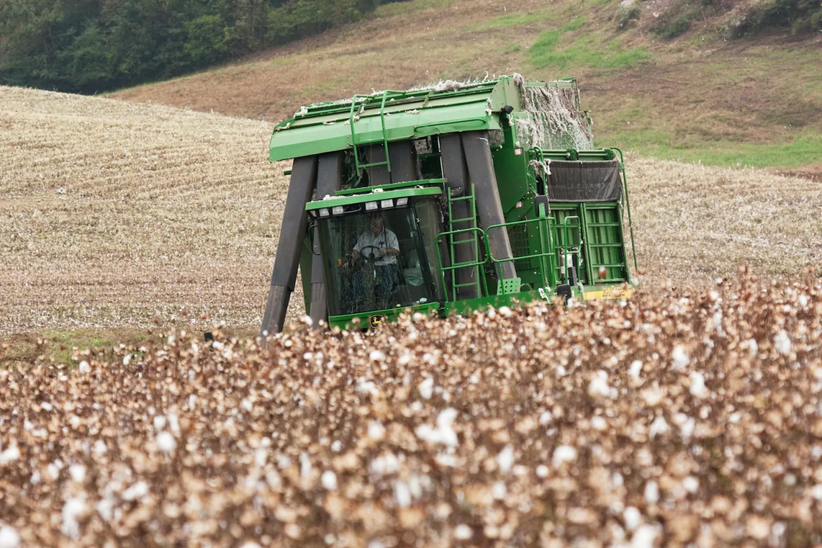 Combine in field. Credit: Mark Stebnicki via Pexels