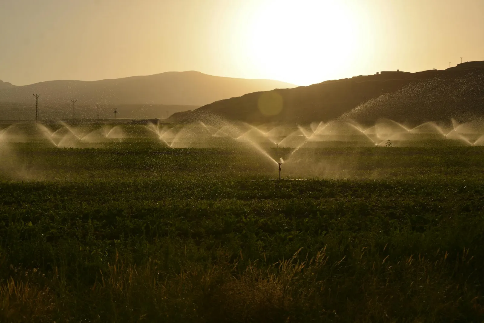 Irrigation over fields. Credit: Süleyman Şahan via Pexels