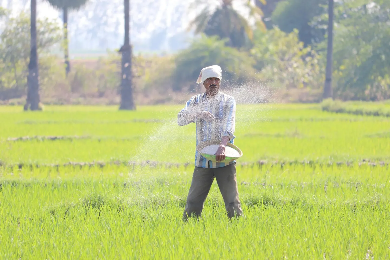 Farmer spreading fertilizer. Credit: Vinay kumar Bairi via Pexels