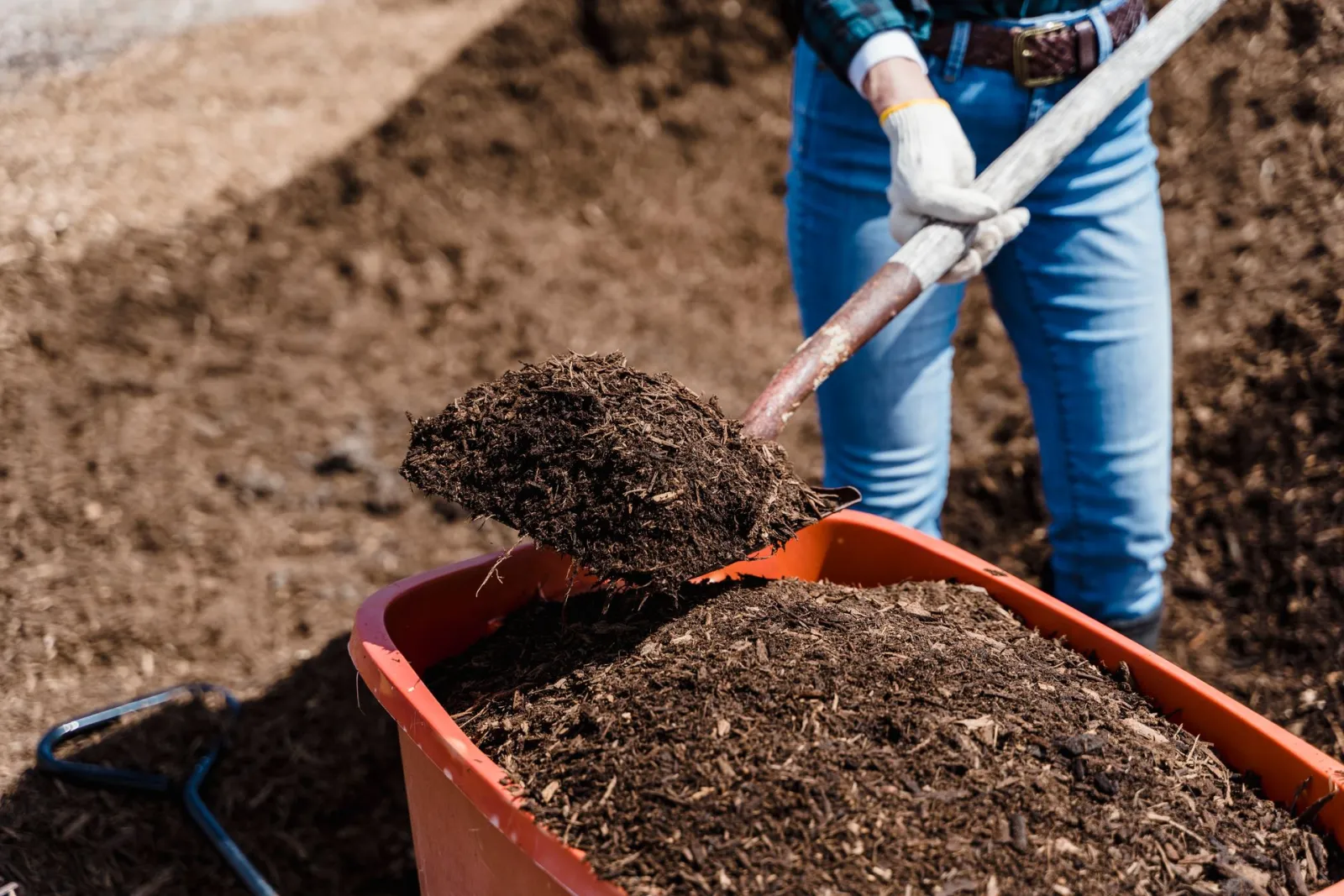 Composting. Credit: Greta Hoffman via Pexels
