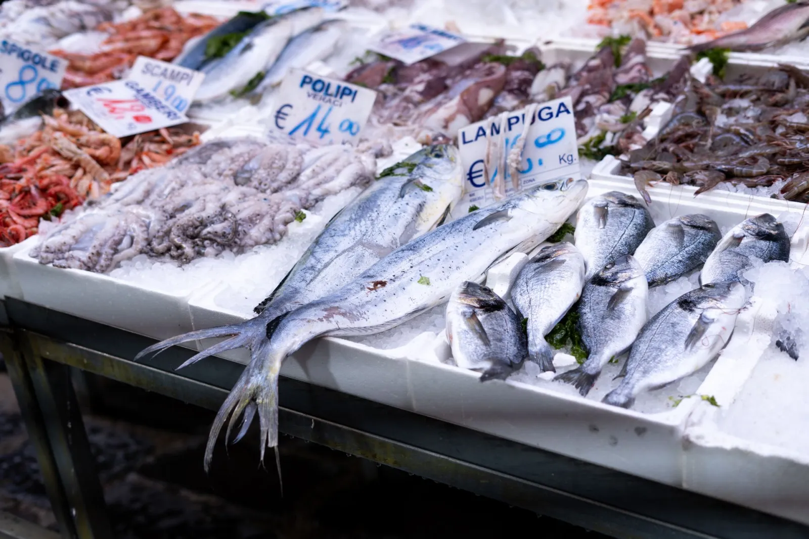 Fish at fishmonger. Credit:  Anastasiya Badun