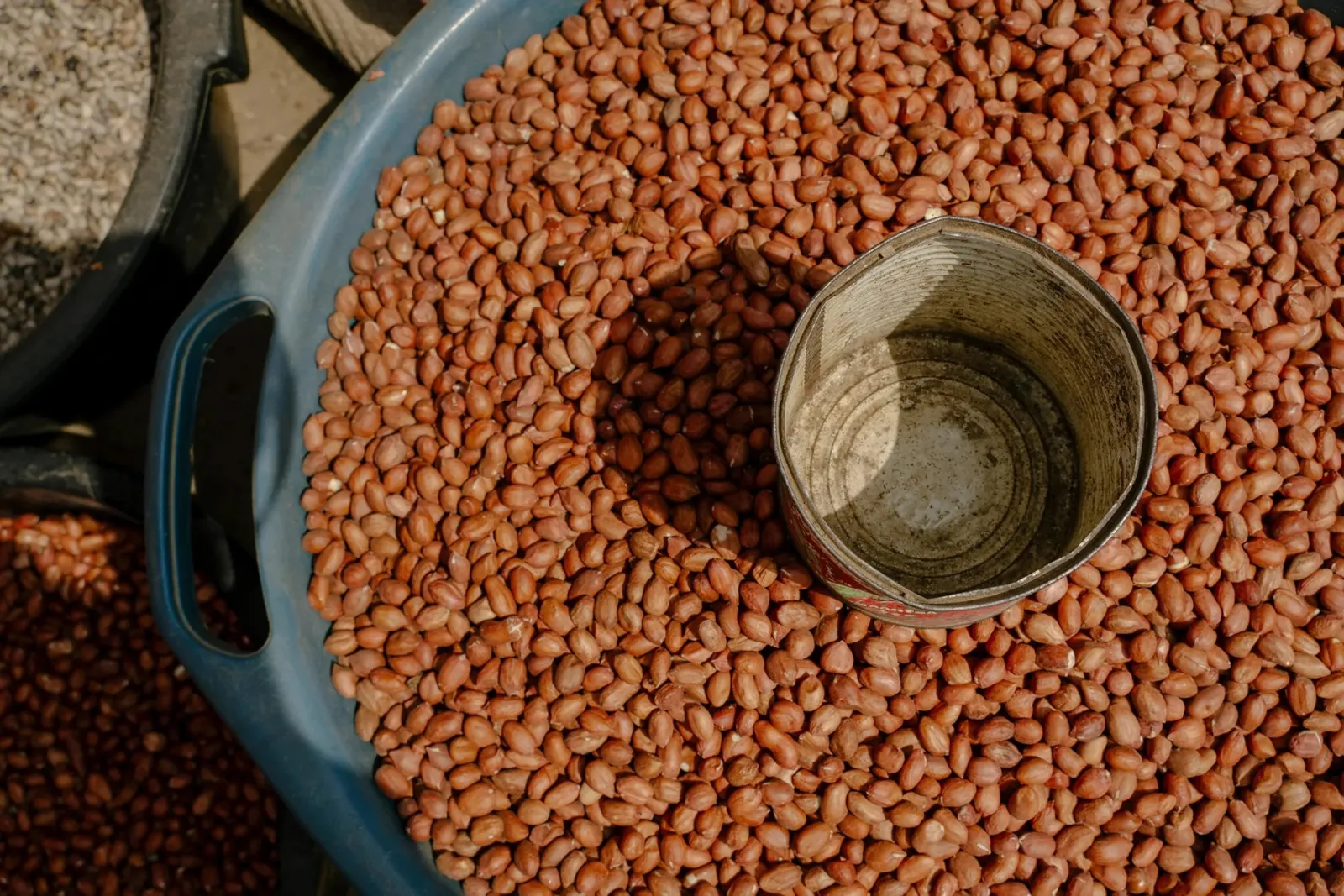 Photo of peanuts in bucket. Credit: Carmen Yasmine Abd Ali 