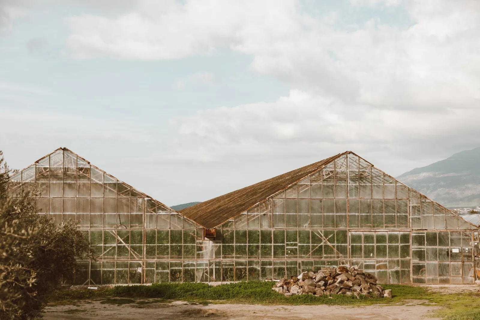 Greenhouses in disrepair. Credit: ROMAN ODINTSOV via Pexels