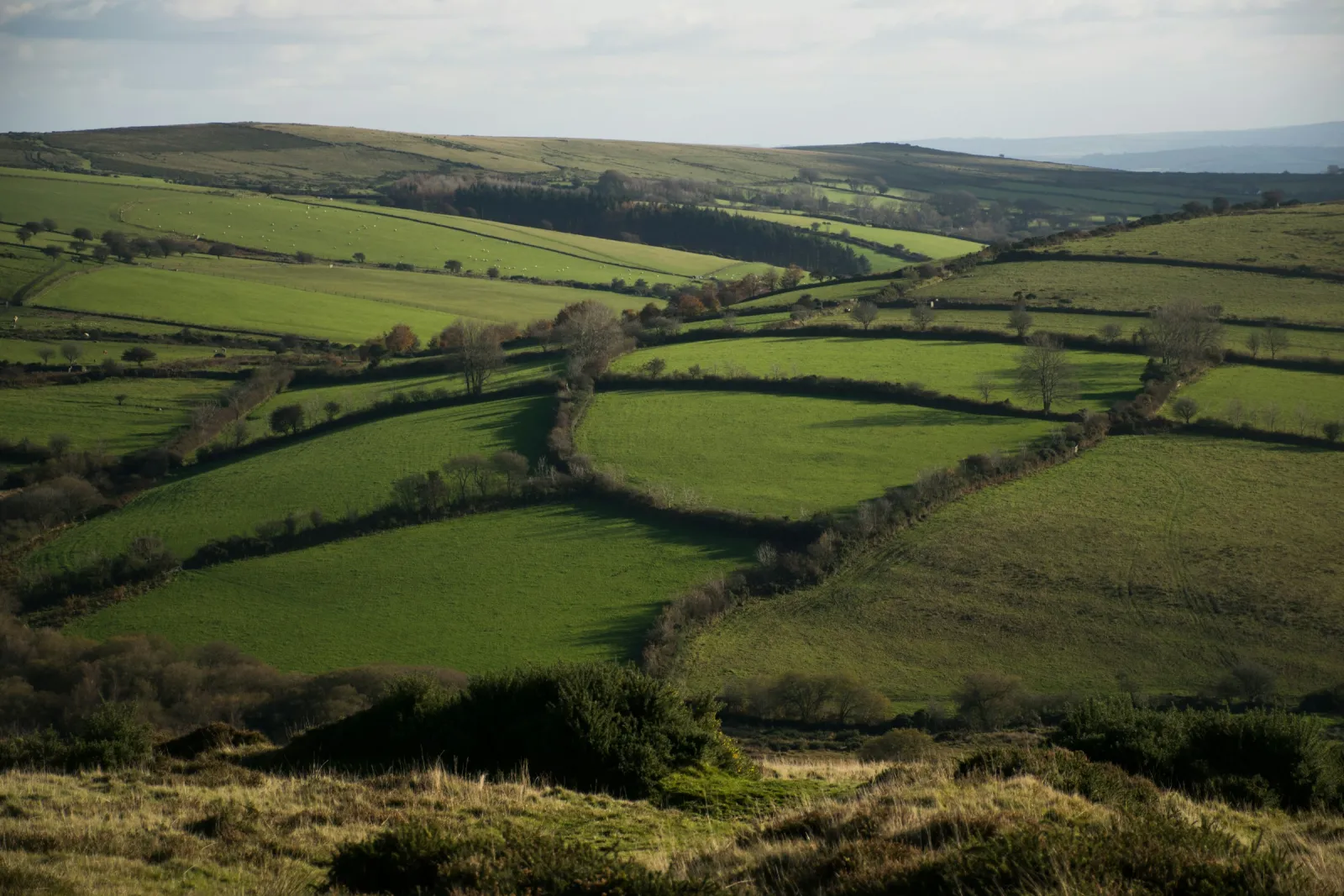 Green countryside in England. Photo by Veronica White via Unsplash.
