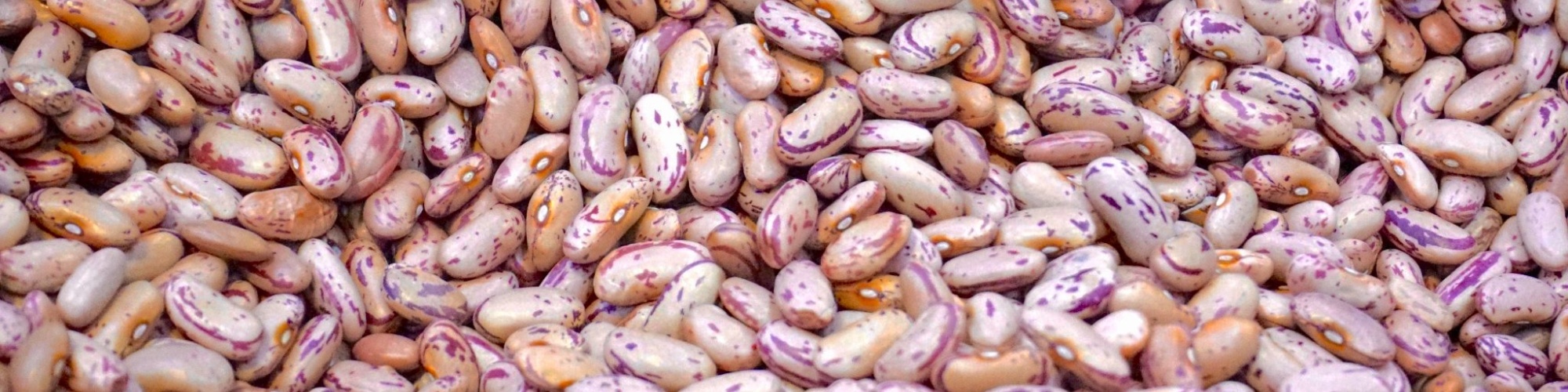 Image of beige and pink beans courtesy of Digital Buggu via Pexels