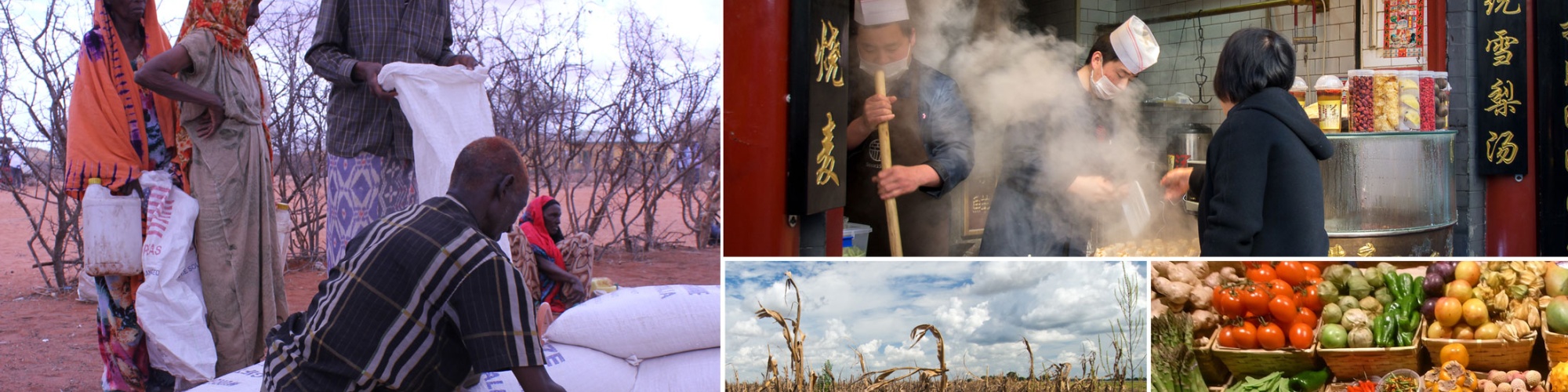 Image montage (clockwise from left): DFAT, A_Peach, Jon Aslund and USDA via Flickr