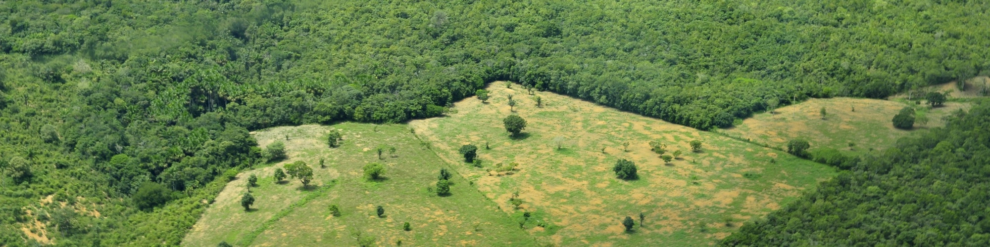 Amazon land use by CIAT via Flickr