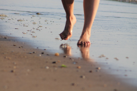 Image: holstein, Movement feet run, Pixabay, Pixabay Licence