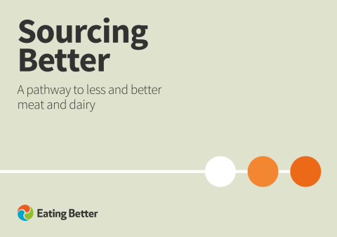 Sourcing Better report cover