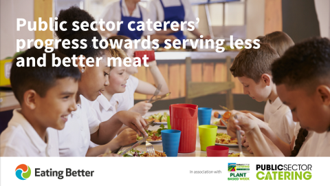 Less meat and more plants in public sector meals