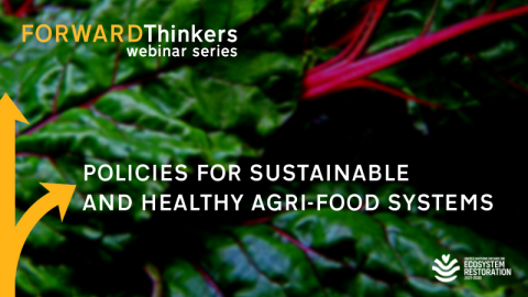 Forward Thinkers Webinar: Policies for Sustainable & Healthy Agri-Food Systems