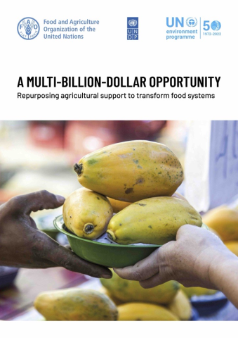 Repurposing agricultural support to transform food systems