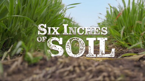 Six Inches of Soil