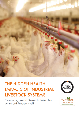 The hidden health impacts of industrial livestock systems