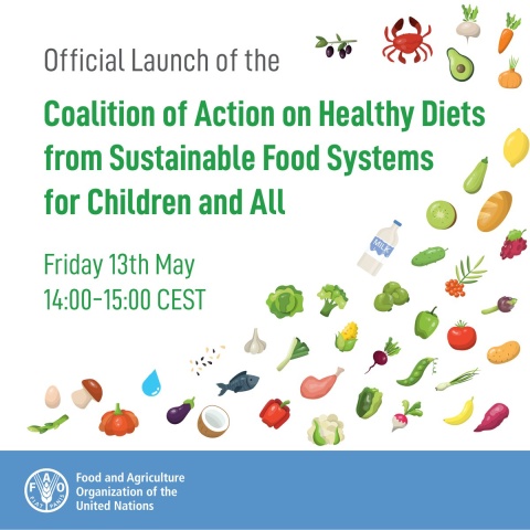 Launch event of the Coalition of Action on Healthy Diets from Sustainable Food Systems for Children & All