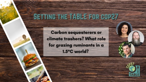 A flyer for the "Setting the Table for COP27: Carbon sequesterers or climate trashers? What role for grazing ruminants in a 1.5°C world?" event with photos of Francesca Cotrufo, Pete Smith and Matthew Hayek.