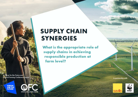 Supply Chain Synergies – What is the appropriate role of supply chains in achieving responsible production at farm level?