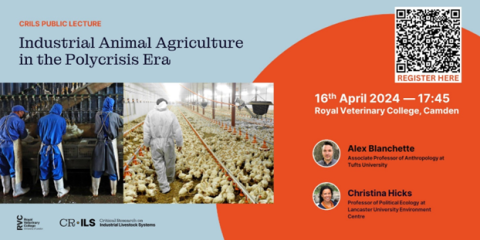 A flyer for the CRILS event "Industrial animal agriculture in the Polycrisis Era" on 16 April in Camden.