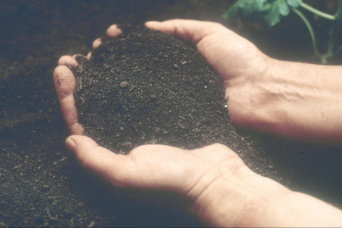 Image: USDA NRCS Montana, Soil Survey, Flickr, Public domain