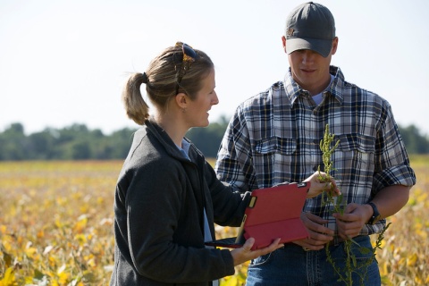 Image: United Soybean Board, Agronomist & Farmer Inspecting Weeds, Flickr, Creative Commons Attribution 2.0 Generic
