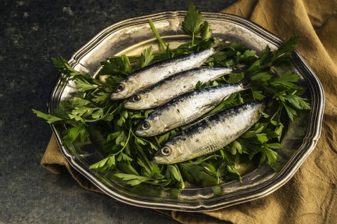 Image: DanaTentis, Sardines fish lunch, Pixabay, Pixabay Licence