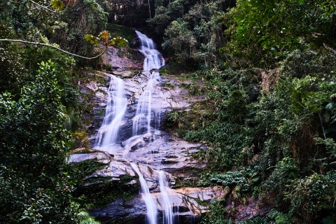 Image: NakNakNak, Rio De Janeiro Brazil Rainforest, Pixabay, Pixabay licence