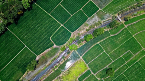Image: Tom Fisk, Bird's Eye View of River in Middle of Green Fields, Pexels, Pexels Licence