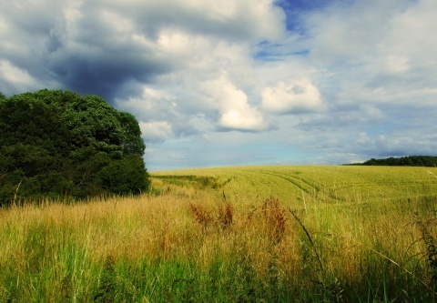 Photo: domwlive, Lushes Fields, flickr, CC BY-ND 2.0