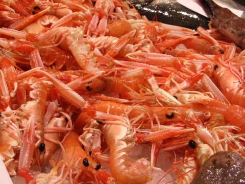 Photo: S Khan, Shrimps, Flickr, Creative Commons License 2.0 generic.