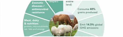 Food sustainability