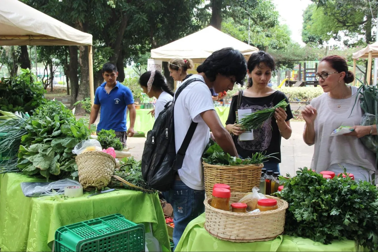Agroecological fair in the city of Santa Cruz de la Sierra, 2016. Photo: Plataforma Agroecológica.
