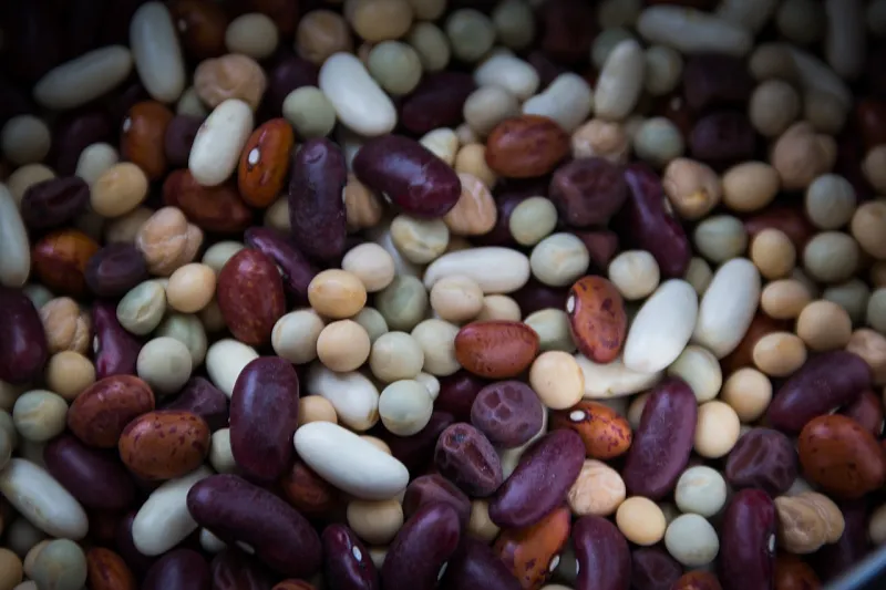 Image: niekverlaan, Dried beans vegetarian, Pixabay, Pixabay Licence