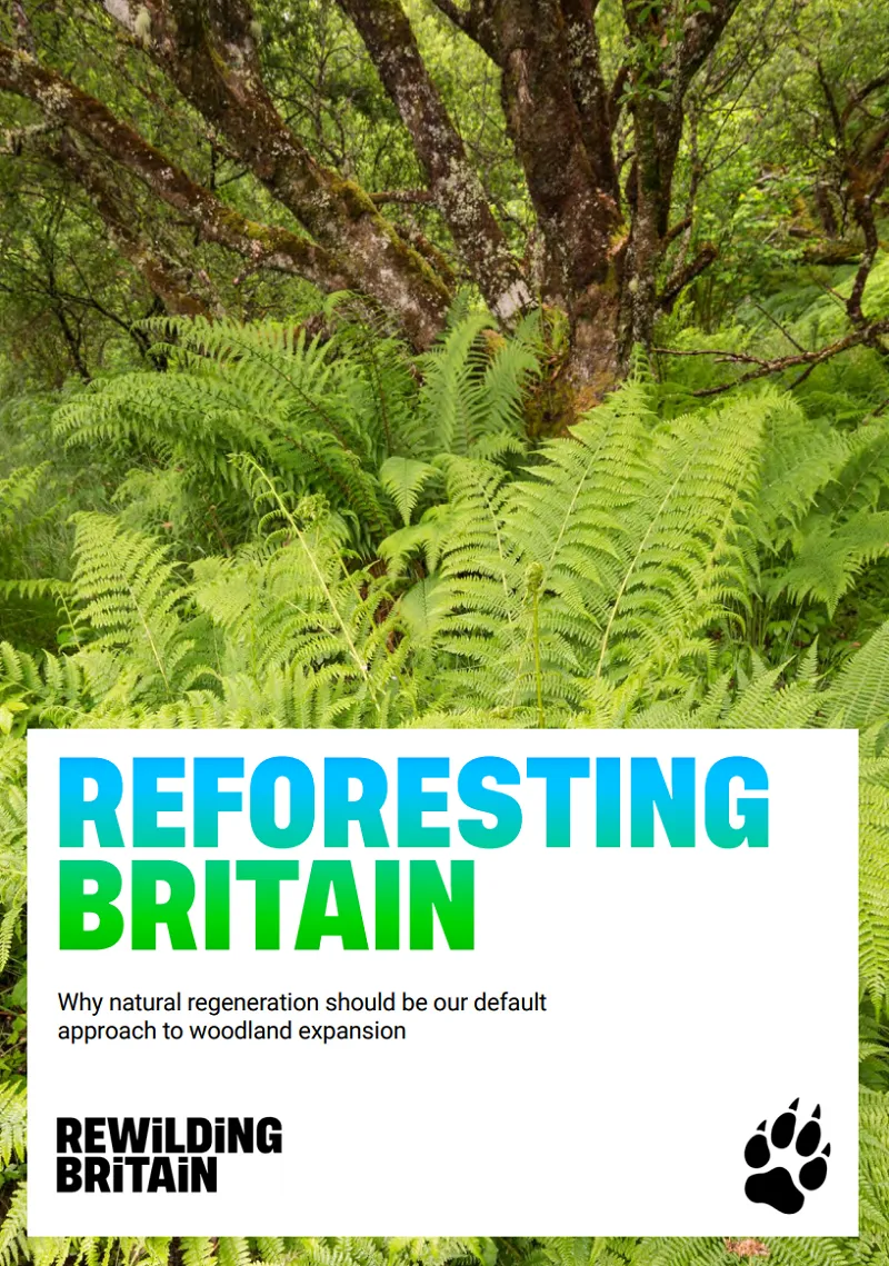 Reforesting Britain report cover