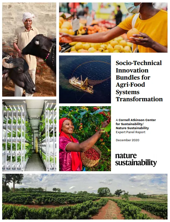 Socio-technical innovation bundles for food transformation report cover