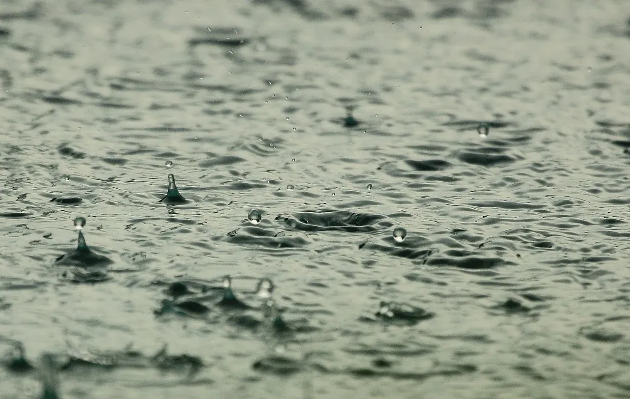 Image: diego_torres, Water Raindrops Raining, Pixabay, Pixabay Licence