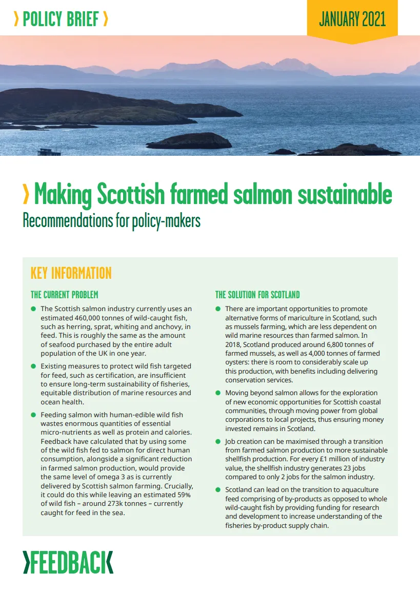 Making Scottish farmed salmon sustainable report cover