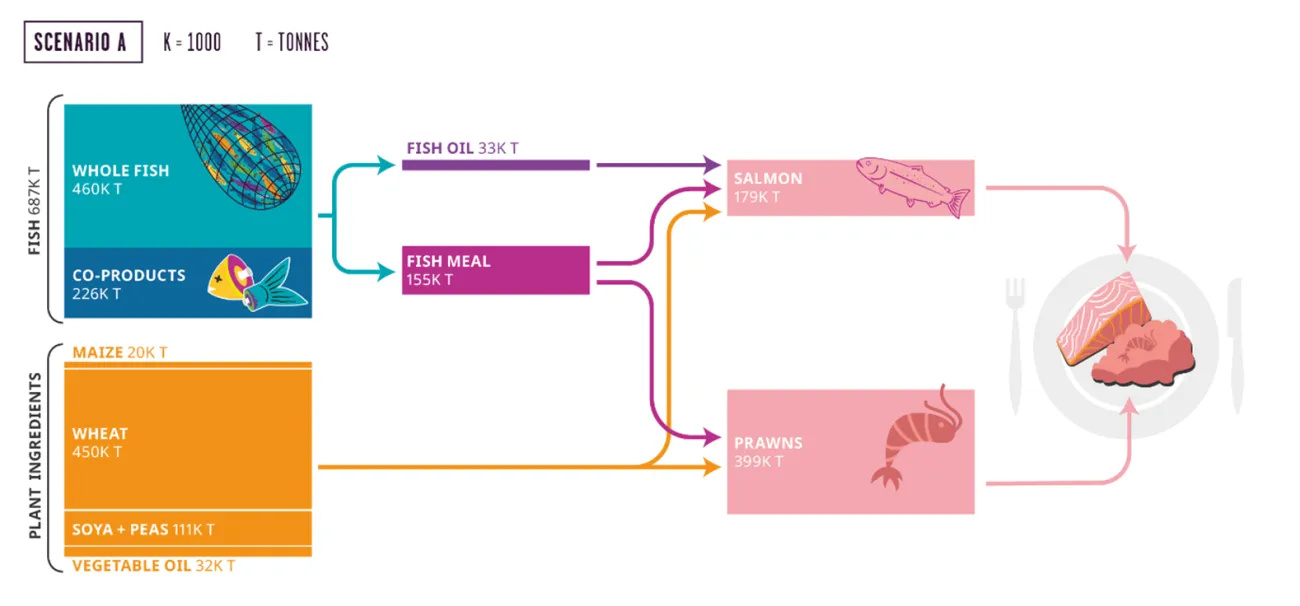 Scenario A diagram