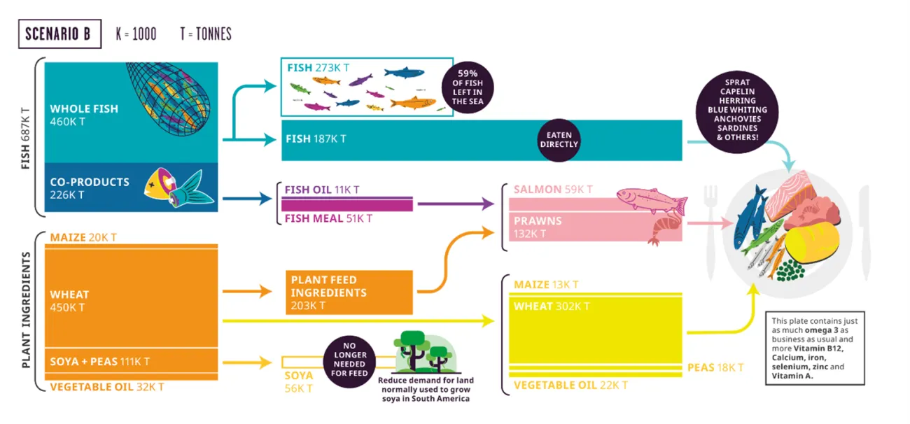 Scenario B diagram