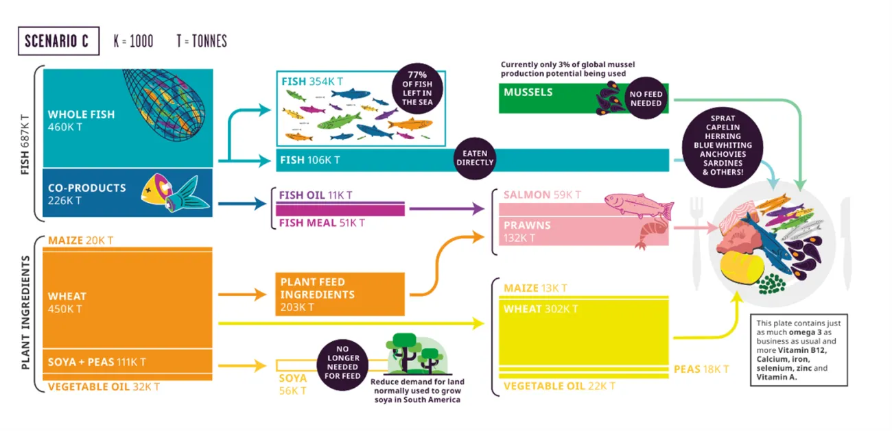 Scenario C diagram