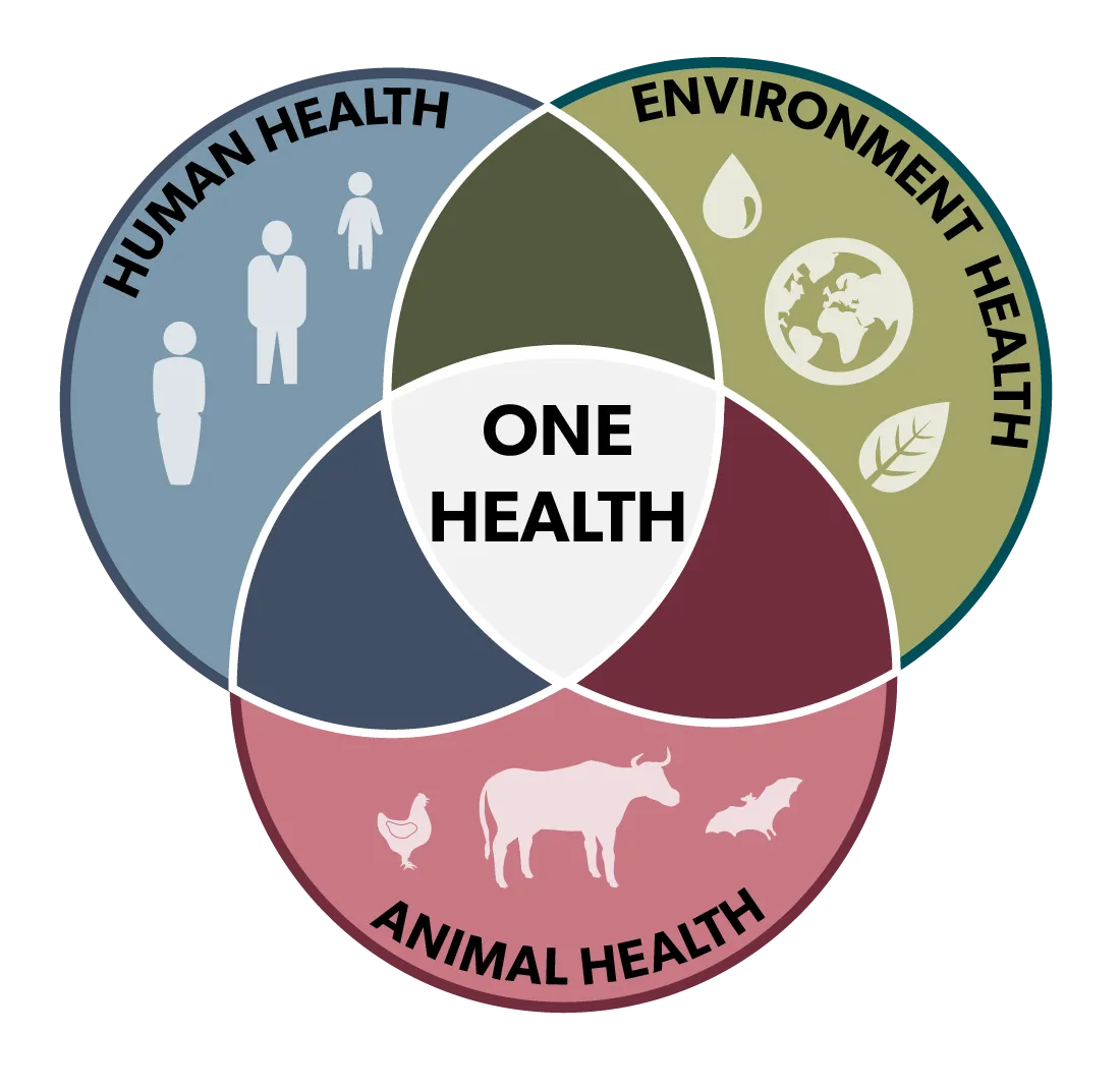 Livestock pathways to 2030: One Health